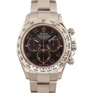 Rolex Daytona Ref 116509 18k White Gold